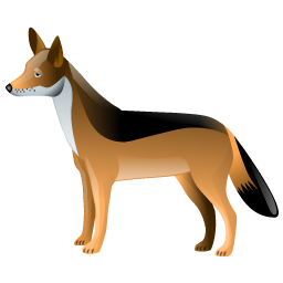 jackal icon