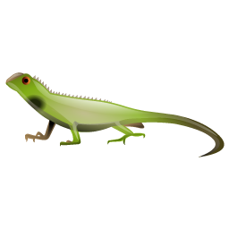 lizard icon