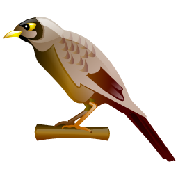 miner_bird icon
