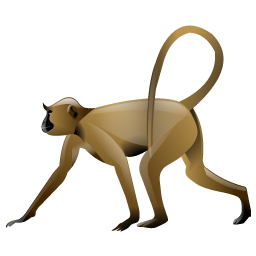 monkey icon