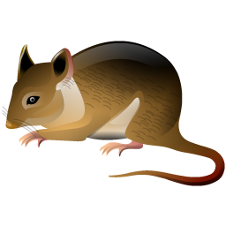 mouse icon