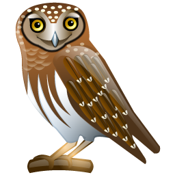 owl icon