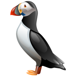puffin icon