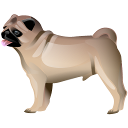 pug icon
