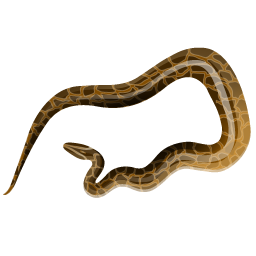 python icon