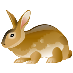 rabbit icon