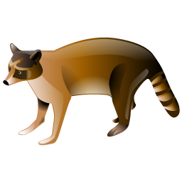 raccoon icon