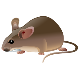 rat icon
