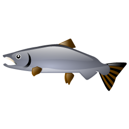 salmon_fish icon