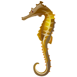 seahorse icon