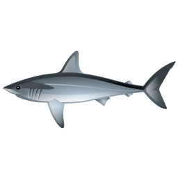 shark icon