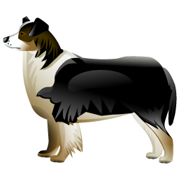 shepherd_dog icon