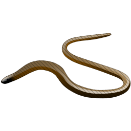 snake icon