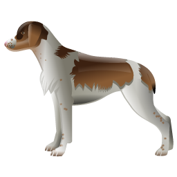 spaniel_dog icon