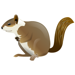squirrel icon