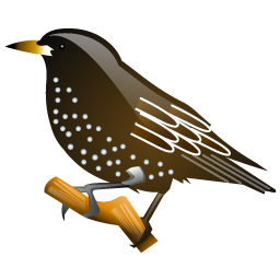 starling_bird icon
