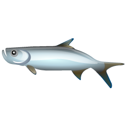tarpon_fish icon