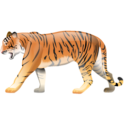 tiger icon