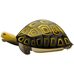 tortoise icon