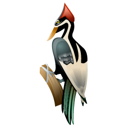 woodpecker_bird icon