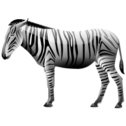 zebra icon