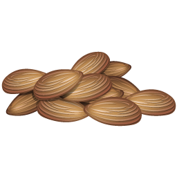 almond icon