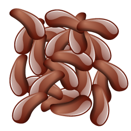 beans icon