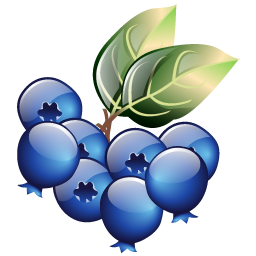 blueberries icon