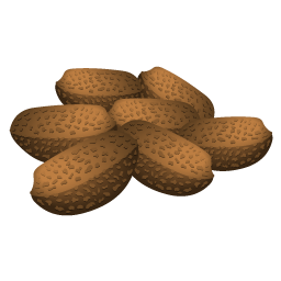brazil_nuts icon