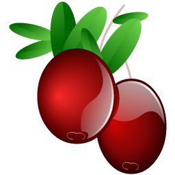 cranberries icon