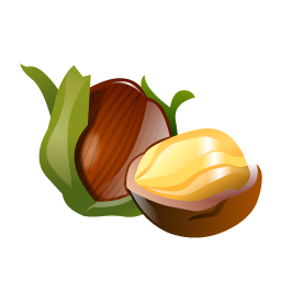 hazelnuts icon