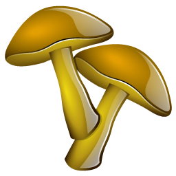 mushrooms icon