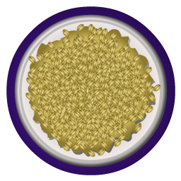 oat_meal icon