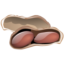 peanuts icon