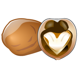 walnut icon