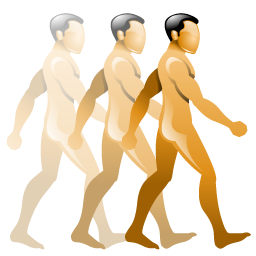 animation icon