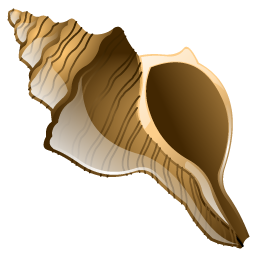 conch icon