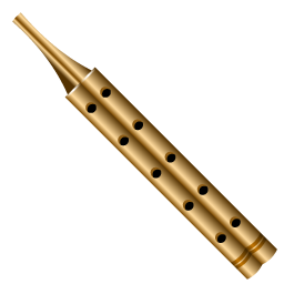 mijwiz icon