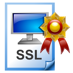 ssl_certificate icon