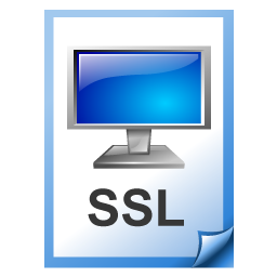 ssl icon