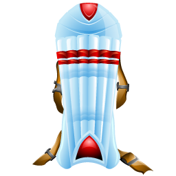 cricket_pad icon