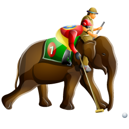 elephant_polo icon