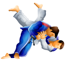judo icon