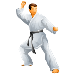karate icon