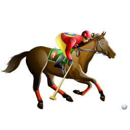polo icon