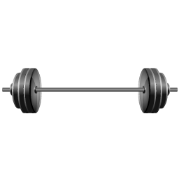 weights icon