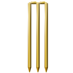 wicket icon