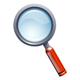 zoom icon