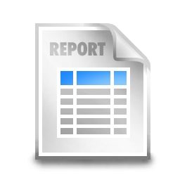 report icon