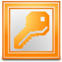 access icon